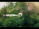 Telaraña